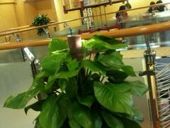 android_upload_pic-兔行天下-鸿鹤鲜锅兔(中海国际店)