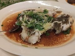 -沙龙酒家