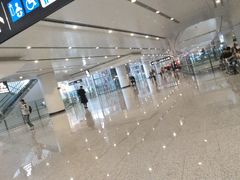 -麦当劳(北京大兴机场二层国内到达(安检外)店)