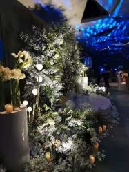 点击看大图 -红丝高端婚礼中心(旗舰店)