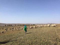 -塞罕坝国家级自然保护区