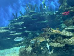 -海合安武汉极地海洋公园