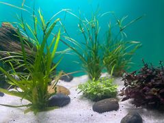 -上海海洋水族馆