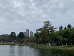 -映月湖公园