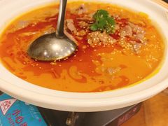 -付掌柜在成都·热炒砂锅集(金禾店)