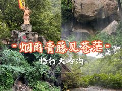 -大岭沟猕猴桃谷风景区