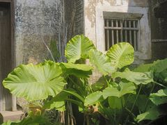 -林寨古村