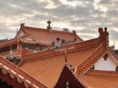 -深圳仙湖植物园