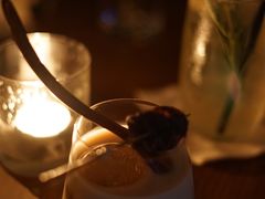 -RMK Shochu Bar(三诺店)