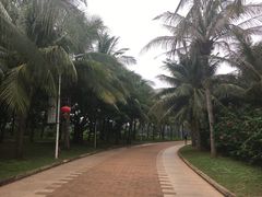 -白沙门生态公园