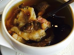 -哈布斯扒房(华发商都店)