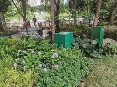 -成都市活水公园