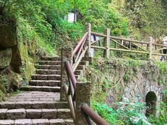 -莫干山风景区