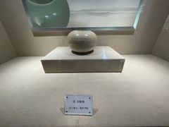 -丽苑大酒店