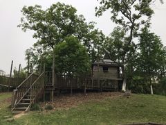 -田园东方蜜桃村的田野营地