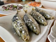 -陈岱后山窑鸡店