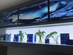 -LESSMORE科技头皮理容中心