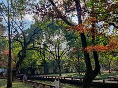 -西园戒幢律寺