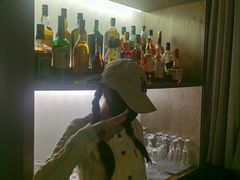 -瑰丽酒店·海吧·天际下午茶·现场DJ·天台酒吧