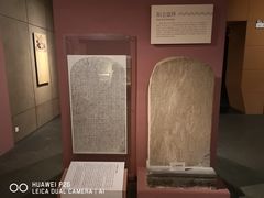 -烟台市博物馆