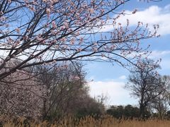 -大益膳房(华腾科技大厦店)