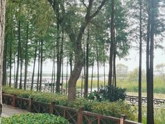 -苏州太湖湖滨国家湿地公园