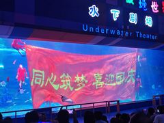 -泉城欧乐堡海洋极地世界