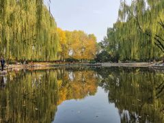 -玲珑塔公园