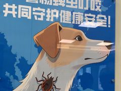 -北京观赏动物医院·24小时大型综合·猫专科·异宠专科