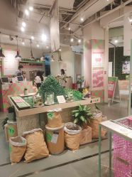 -悦诗风吟innisfree