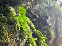 -东南悬空寺方广岩