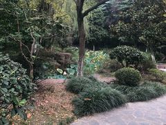 -花溪公园