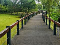 -尚贤河湿地