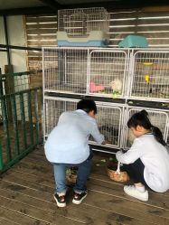 -小蜜蜂农场(凯德七宝购物广场店)