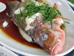 -明记海鲜大排档(巽寮湾店)