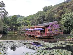 -云溪植物园