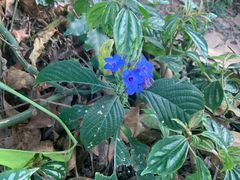 -嘉和K6温泉微度假