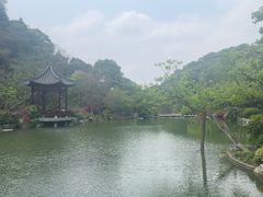 -云溪植物园