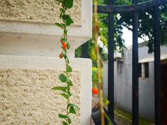 -春风十里咖啡馆