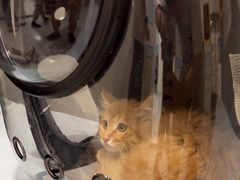 -中农国际动物医院24小时·猫科·骨科·急重症中心