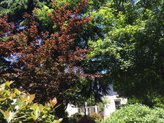 iphone_upload_pic-八大关景区