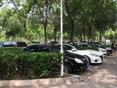 -绿堤公园