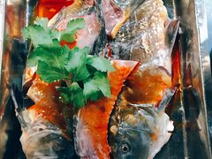 裸斑鱼-蜀滋香鲜鱼美蛙火锅(339店)
