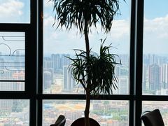 -汤臣·空中餐厅·严选粤菜(石湾世博广场店)