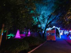 -枫花园汽车电影院(朝阳公园店)