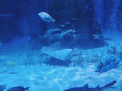 -沈阳海洋探索中心