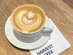 -收获咖啡HARVEST RESERVE(苍山店)