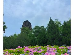 -西安博物院
