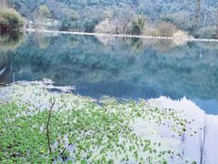 -贵阳市花溪国家城市湿地公园