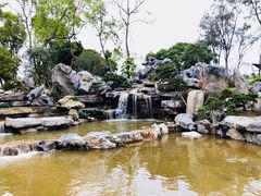 -东莞植物园